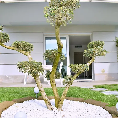 Apartment Charming With Garden View